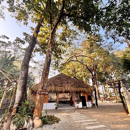 Happy Lemon Tree Lodge سوراها المظهر الخارجي الصورة
