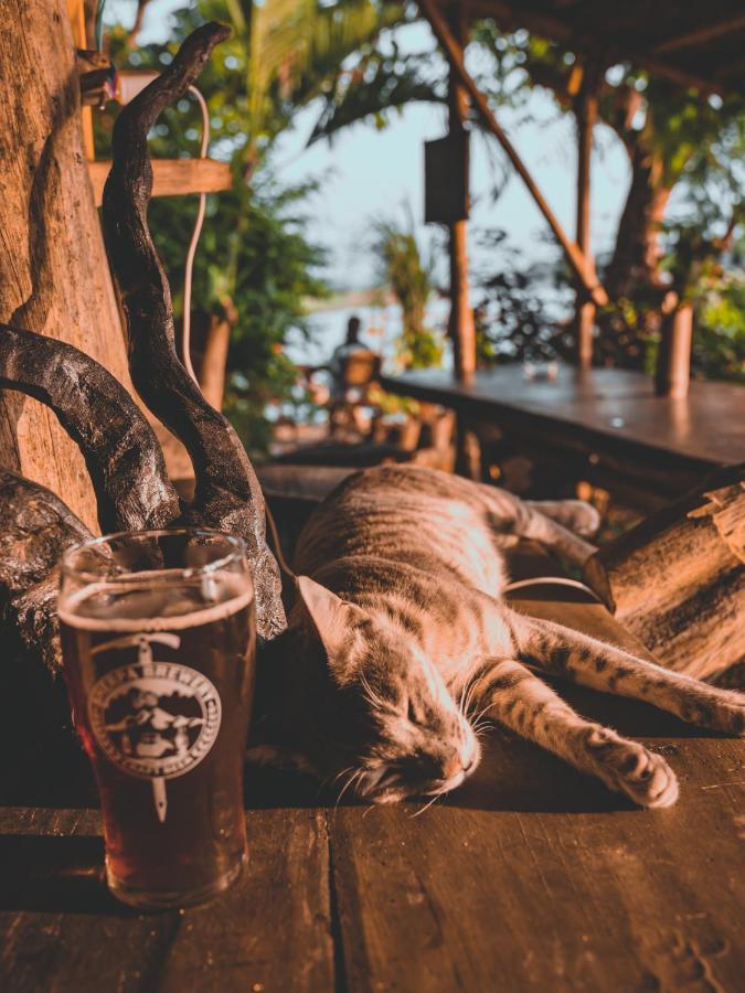 Happy Lemon Tree Lodge سوراها المظهر الخارجي الصورة