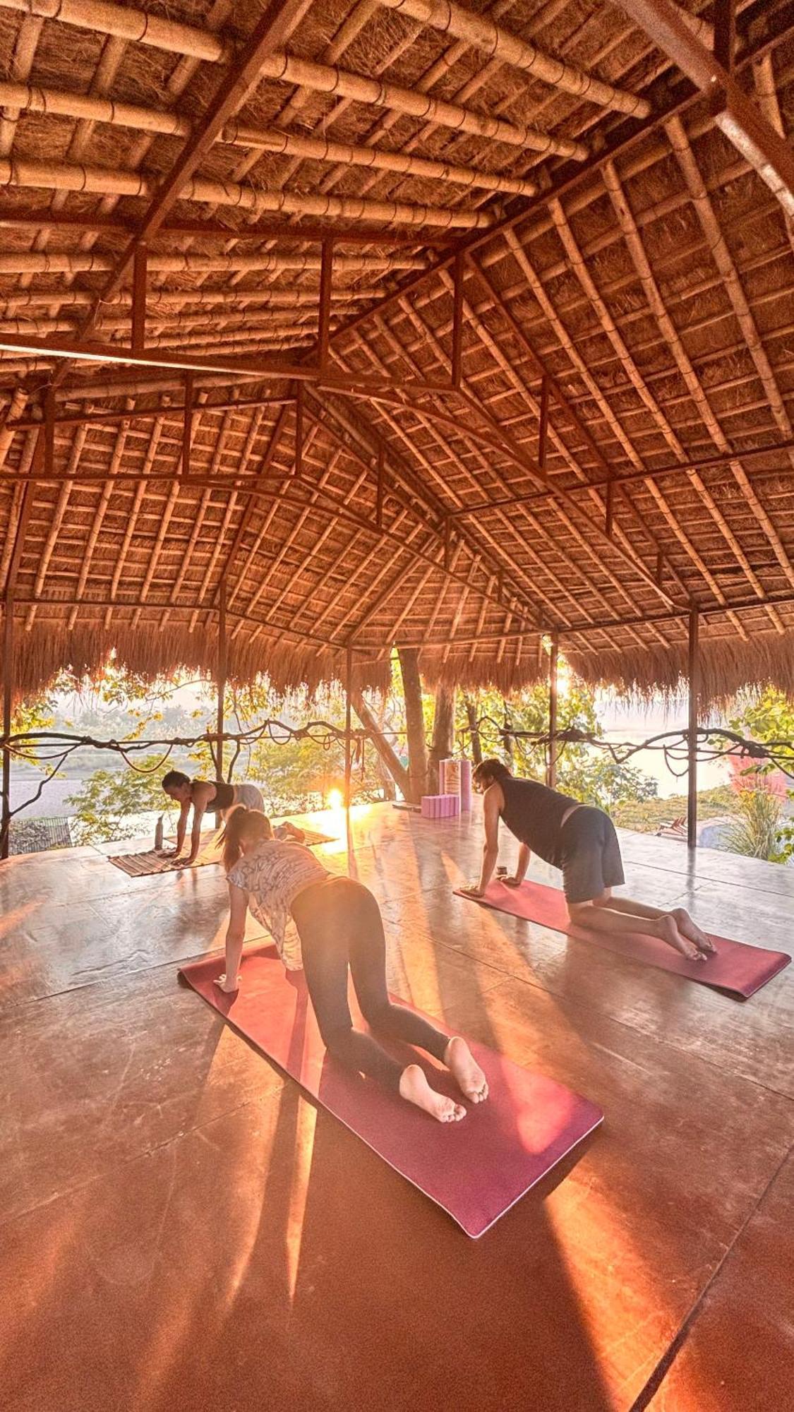 Happy Lemon Tree Lodge سوراها المظهر الخارجي الصورة